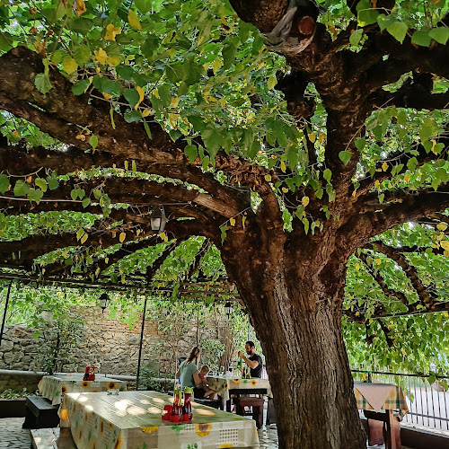 Comentarii opinii despre Restoran Agroturizam Sterle