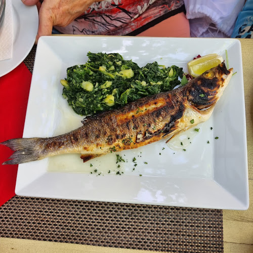 Ul. Hrvatskih branitelja 1, 23232, Zaton