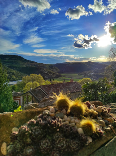 Comentarii opinii despre Caffe Wine & Food Bistro Melody