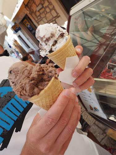 Comentarii opinii despre Zak