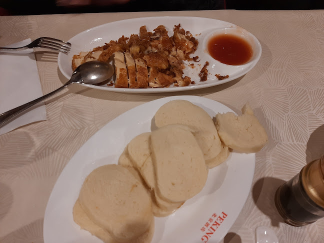 Ul. Bože Milanovića 18, 51000, Rijeka