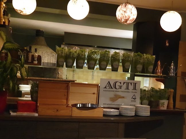 Comentarii opinii despre O'Hara