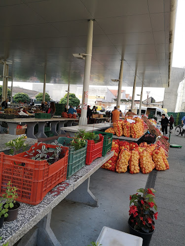 Gradska Tržnica - Slavonski Brod