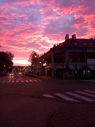 Trg hrvatskih branitelja 9, 34310, Pleternica