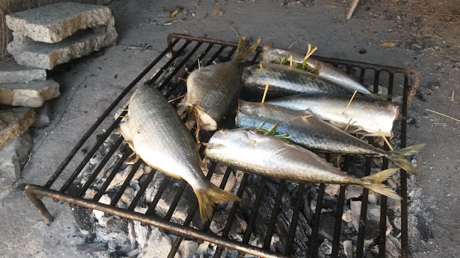 Ribarnica Pag - Gastronomija i ugostiteljstvo