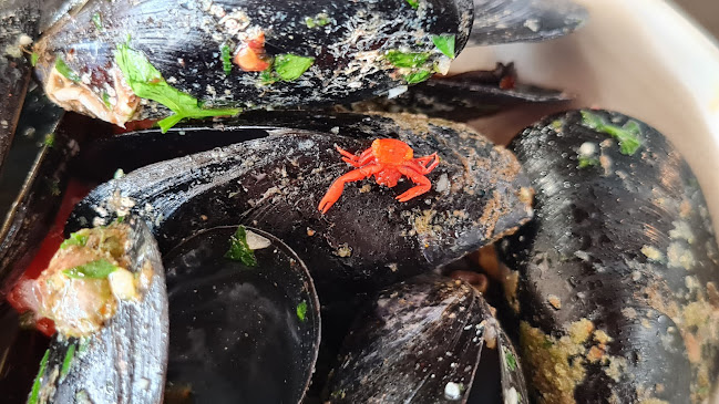 Restaurant Bracera - Baška Voda