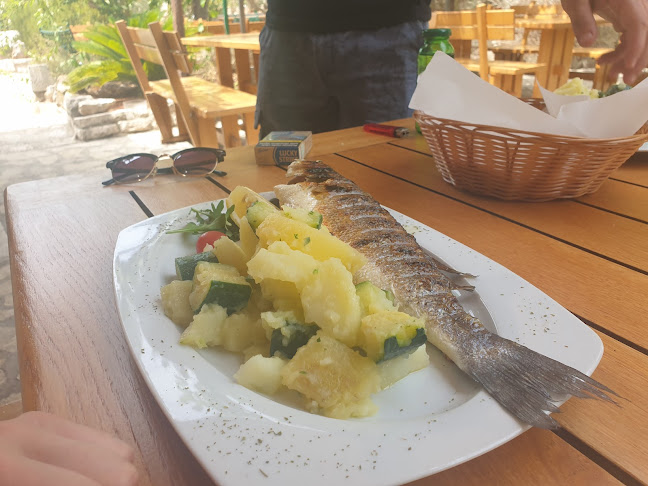 Comentarii opinii despre Nauta