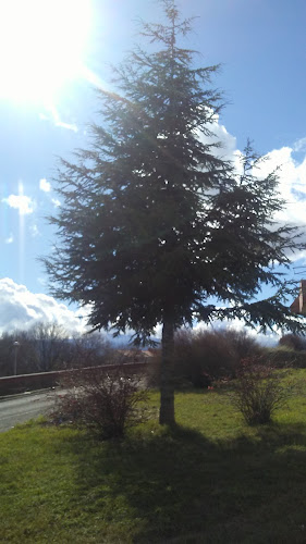 CAFFE BAR SONG - Imotski