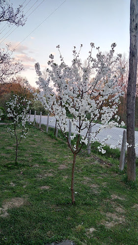 List Caffe Bar - Stankovo