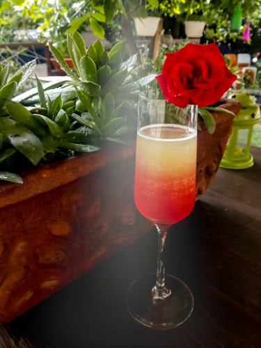 Opinii despre Terra Magica în Poreč - Gastronomija i ugostiteljstvo