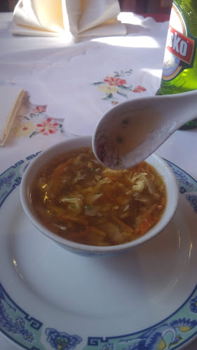 Comentarii opinii despre Bambus Garden