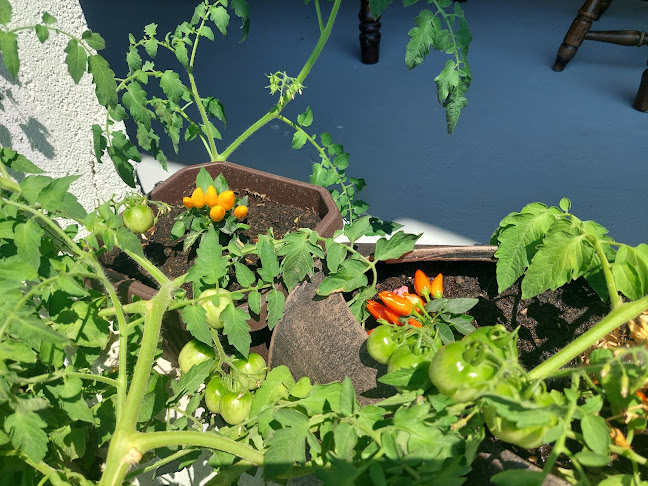 Gostionica Kod Bujola - Gastronomija i ugostiteljstvo