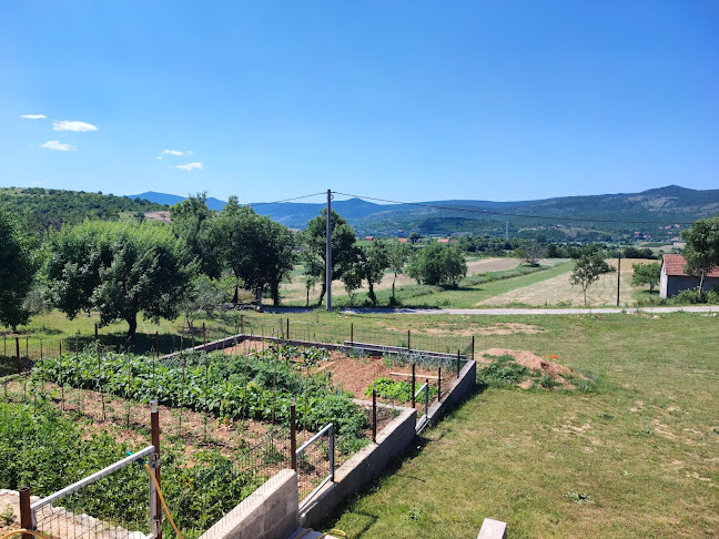 Opinii despre Caffe Bar Trač în Gradac - Gastronomija i ugostiteljstvo
