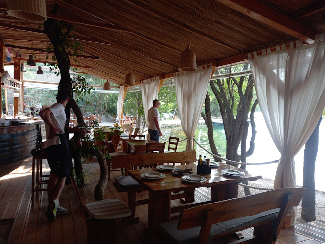 Comentarii opinii despre Konoba Vidrovača