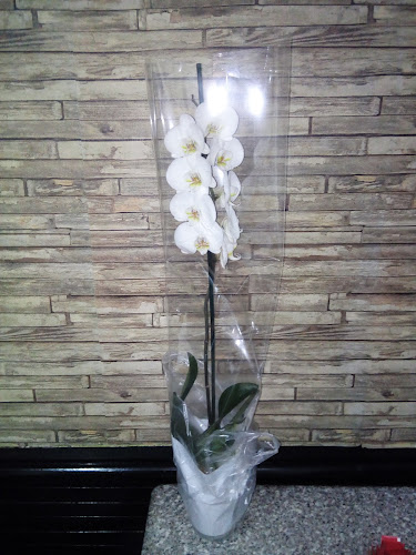 Caffe Bar Li-La - Gastronomija i ugostiteljstvo