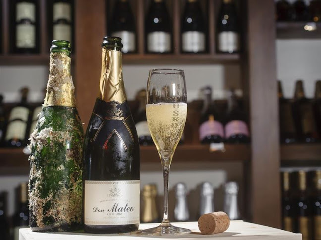 Comentarii opinii despre Konoba Don Mateo