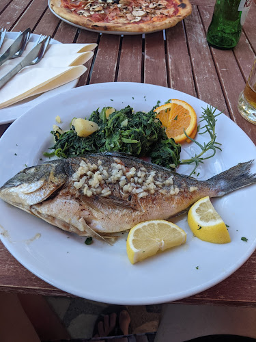 Mare Adriatico - Gastronomija i ugostiteljstvo