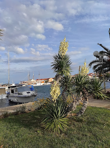 Comentarii opinii despre Grand cafe