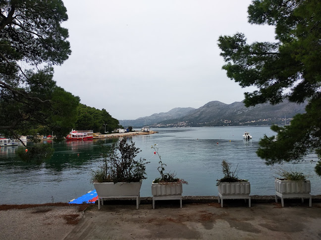 Comentarii opinii despre Caffe Bar Delfin