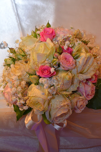 Comentarii opinii despre Restoran Grof