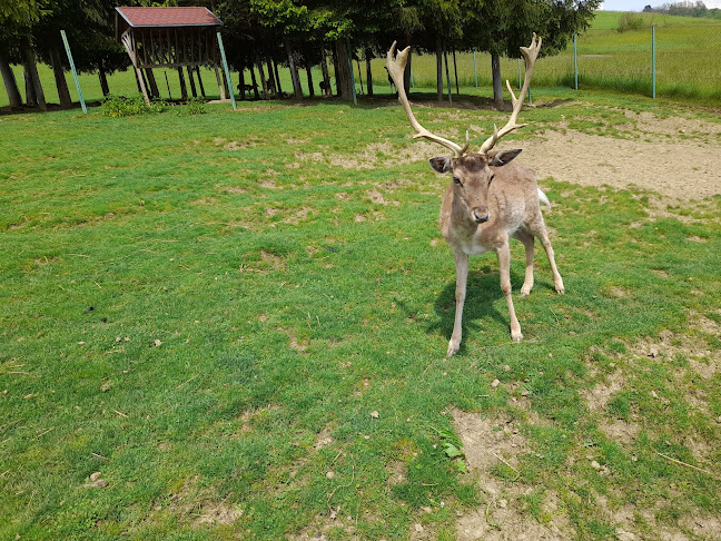 2, Druškovec Humski 82, 49231, Hum na Sutli