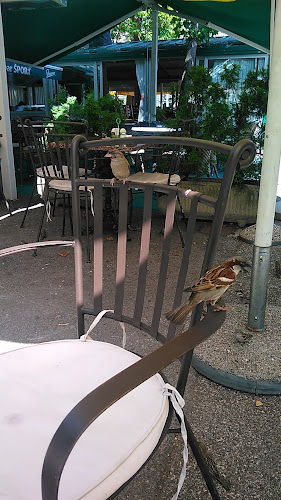 Mrvica grill - Branimirac - Gastronomija i ugostiteljstvo