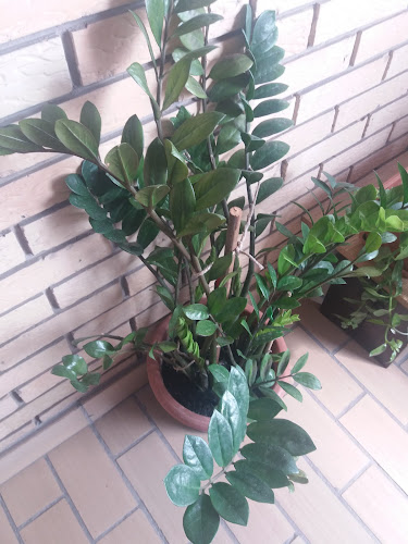 SLASTIČARNICA - Gastronomija i ugostiteljstvo