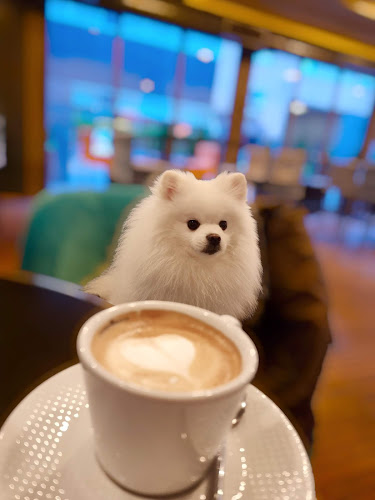 Comentarii opinii despre Plaza Bar