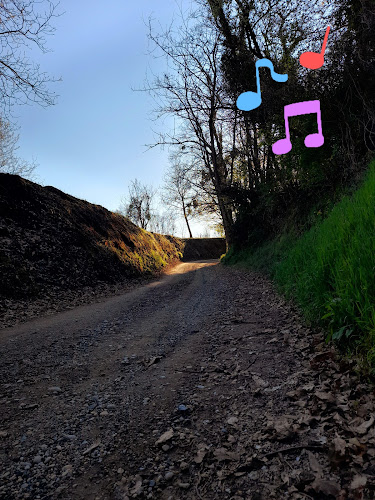 Comentarii opinii despre Ilijev breg 4