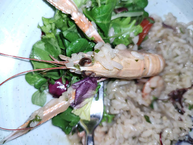 Konoba Ribica - Gastronomija i ugostiteljstvo