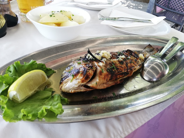 Comentarii opinii despre Pansion Kačina