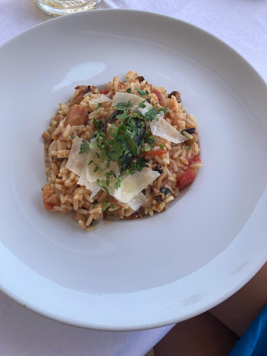 Comentarii opinii despre Reflektor - Murter