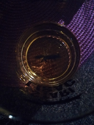 Caffe bar Oaza - Gastronomija i ugostiteljstvo