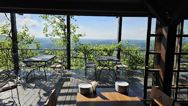 Opinii despre Bolfan Vinski Vrh în Hrašćina - Gastronomija i ugostiteljstvo