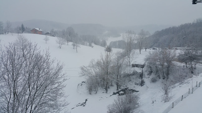 Restoran Becić - Gastronomija i ugostiteljstvo