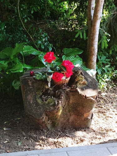 Struga ul. 41 b, 47000, Karlovac