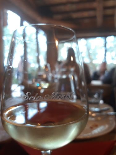 Comentarii opinii despre Agroturizam Selo Mekiši