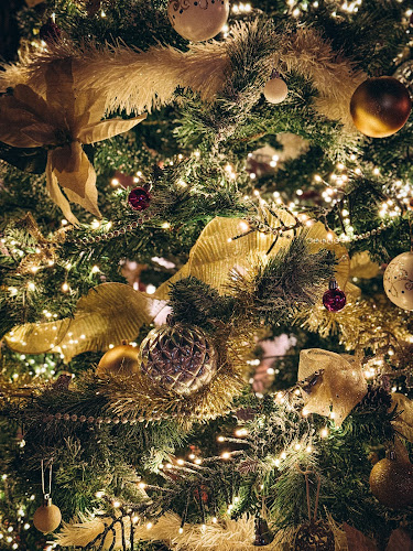 Ul. kralja Tomislava 47, 22300, Knin