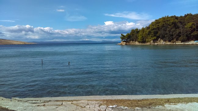 Comentarii opinii despre Jadran