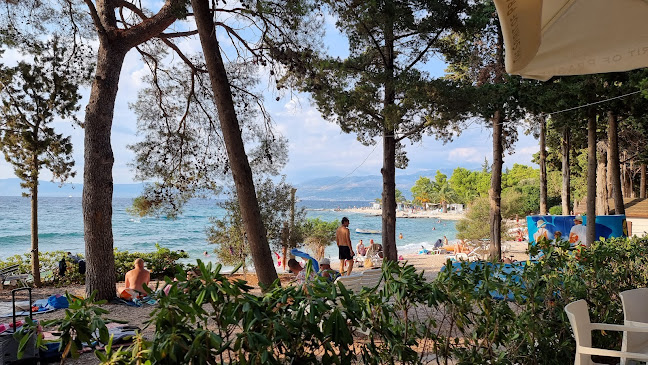 Restoran Velaris, - Gastronomija i ugostiteljstvo