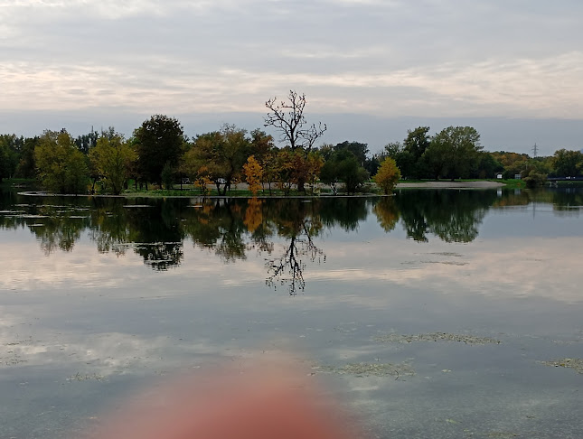 Comentarii opinii despre Paooro Cocktail Bar