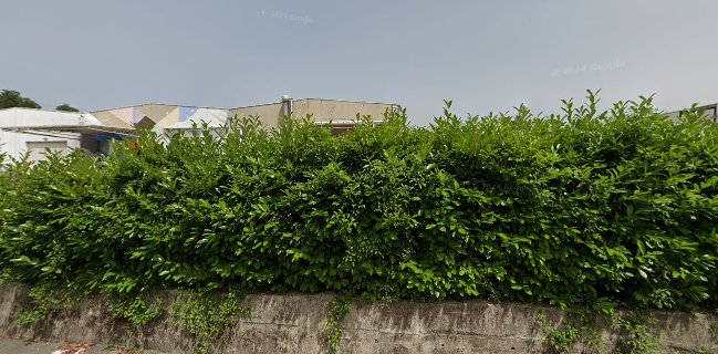 Mesotorgovina Rijeka doo