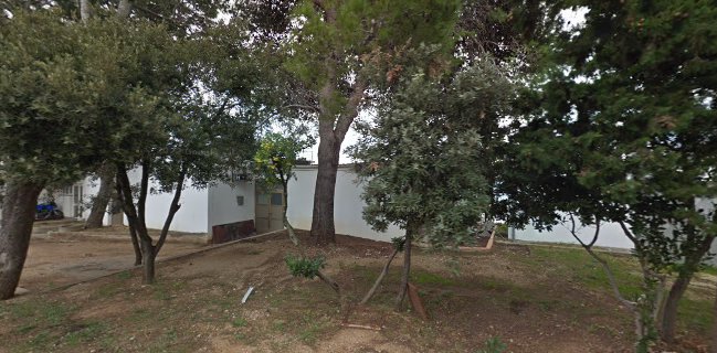 Momento Grill Pizza House