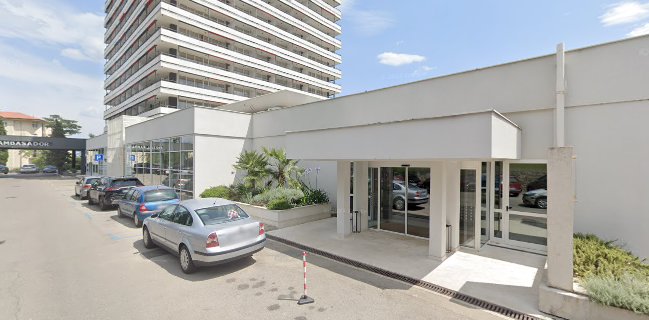 Garden grill "Hortenzija"