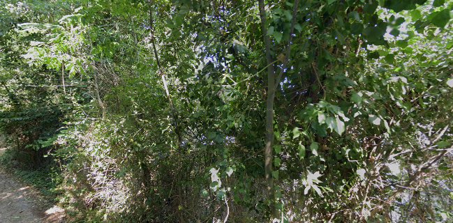 Opinii despre Beach Bar LaPlaya în Pula - Gastronomija i ugostiteljstvo