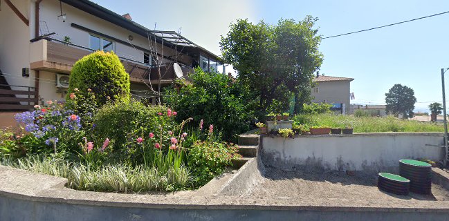 Opinii despre Pizzeria YOYO în Rijeka - Gastronomija i ugostiteljstvo