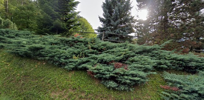 PLANINARSKI DOM KAMENITOVAC