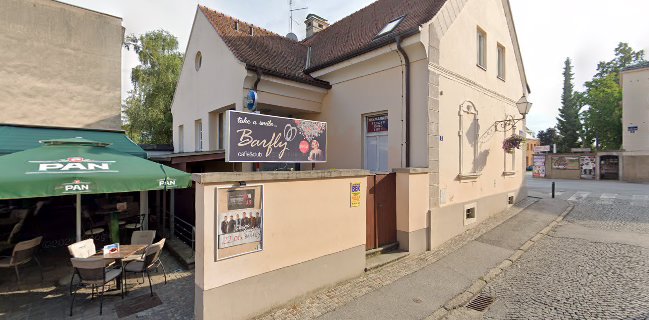 Caffe bar - Noćni Bar BARFLY