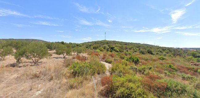 Opinii despre Restoran Šampjer în Maslinica - Gastronomija i ugostiteljstvo