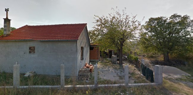 Opinii despre BUBO BUBO Camping & Chiringuito în Benkovac - Gastronomija i ugostiteljstvo